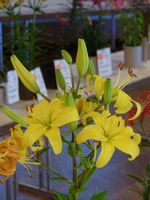 Foto: Dr. Peter Müller